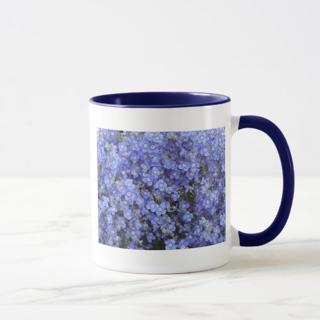 Taza Flores del lino en los jardines de Longwood, (Derecha)
