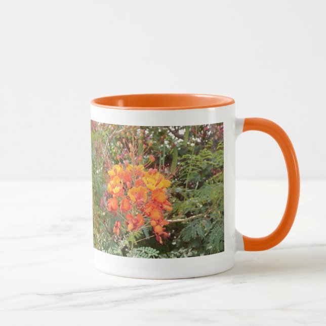 TAZA FLORES DESIERTOS #2 MUG (Derecha)
