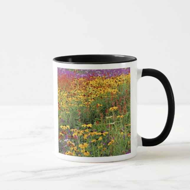 Taza Flores expuestas en los Jardines Internacionales d (Derecha)