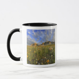 Taza Flores silvestres de la pradera en Windy Creek en