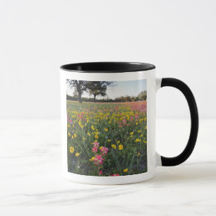 Taza Flores silvestres en la carretera en Texas, primav