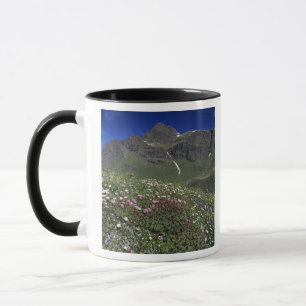 Taza Flores silvestres, floreciendo, Alpes, Suiza