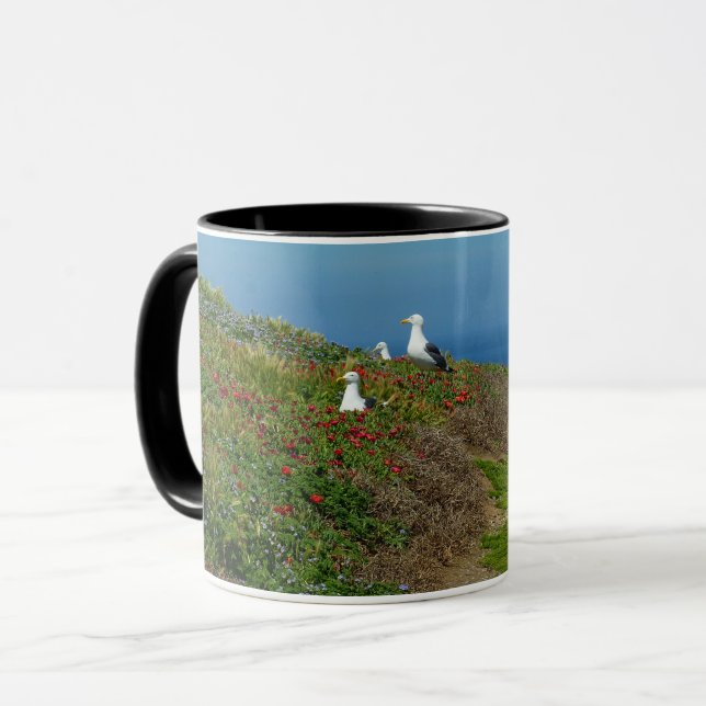Taza Flores y gaviotas en la isla de Anacapa (Anverso izquierdo)