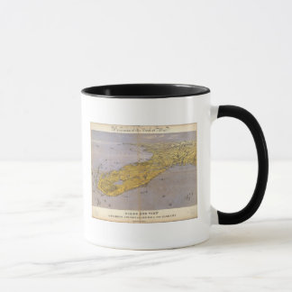 Taza Floria, Georgia y Alabama