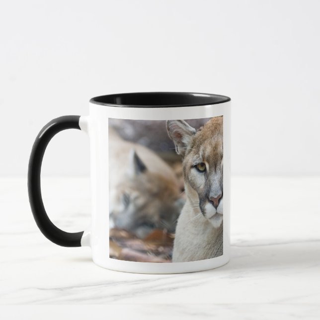 Taza Florida Panther (Izquierda)