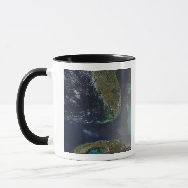 Taza Florida y Cuba (Izquierda)