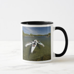 Taza Flota de kayak en reposo durante la tarde en