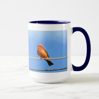 Taza Flycatcher bermellón