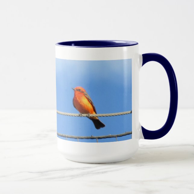 Taza Flycatcher bermellón (Derecha)