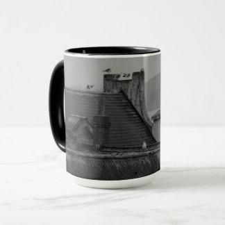 Taza Flying Free from Alcatraz