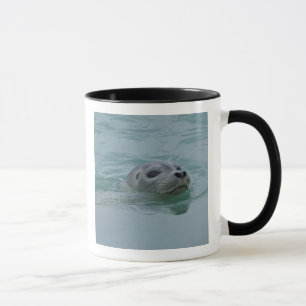 Taza Foca común nadando en el lago glacial Jokulsarlon