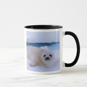 Taza Foca de Groenlandia Norteamérica, Canadá, Quebec