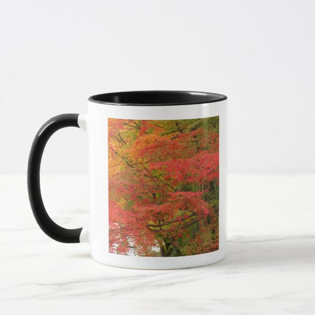 Taza Follaje de otoño japonés (Izquierda)