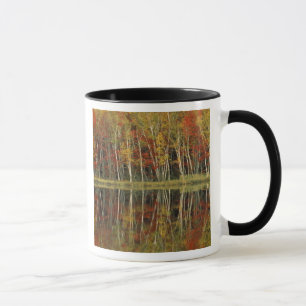 Taza Follaje de otoño y reflejos de abedul; Hiawatha