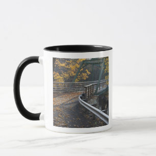 Taza Follaje otoñal y puente sobre los molinos