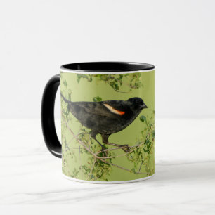 Taza fondo verde de pájaro negro de ala roja