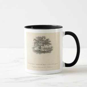 Taza Forma en la que William Penn