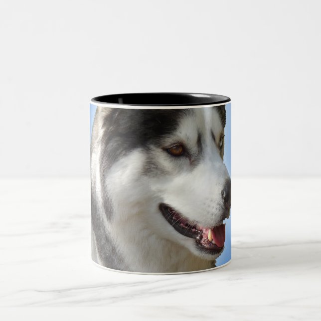 Taza fornida del husky siberiano de Guay de la (Centro)