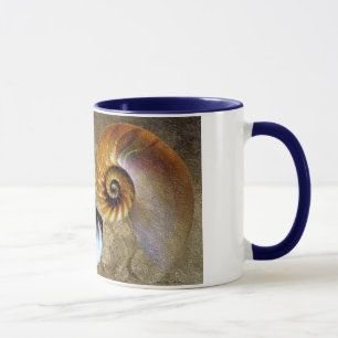 Taza fósil