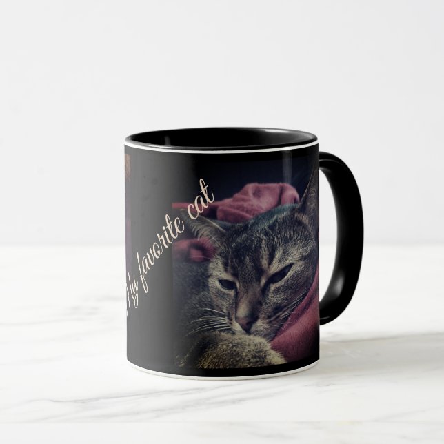 Taza Foto de gato, gato, Mascotas, gato gracioso, Borgo (Anverso derecho)