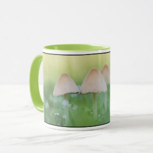 Taza Foto de la naturaleza de los hongos pequeños