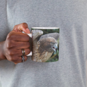 Taza Foto de rapaz halcón de cola roja