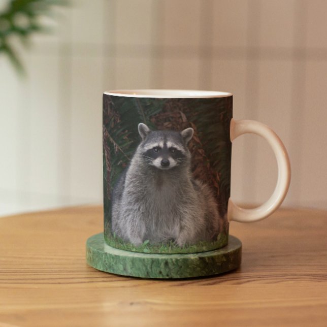Taza Foto de vida silvestre de Cute Forest Raccoon (In Situ Coaster)