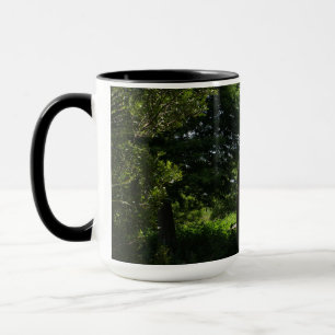Taza Foto del puente del lago Parker en Lakeland