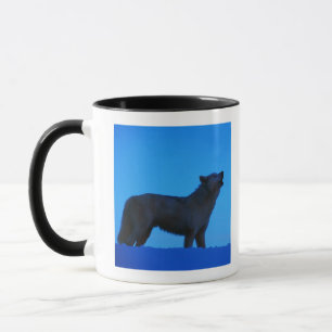 Taza Foto, lobo blanco que grita en la noche, color,