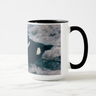 Taza Foto masculina del Rey Eider de la ave acuática de
