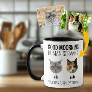 Taza Foto personalizada de 2 gatos
