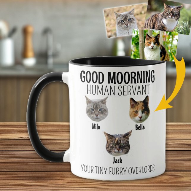 Taza Foto personalizada de 3 gatos (Subido por el creador)