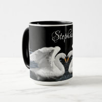 Fotografía animal de espejo de cisne blanco silenc