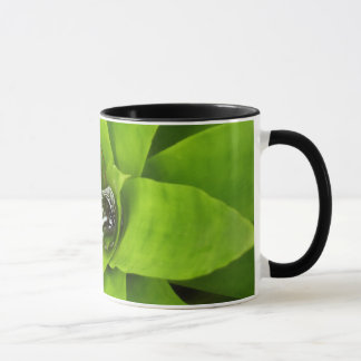 Taza Fotografía Botánica Verde Bromeliad