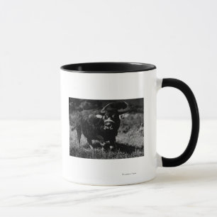 Taza Fotografía de búfalo de agua HawaiiA