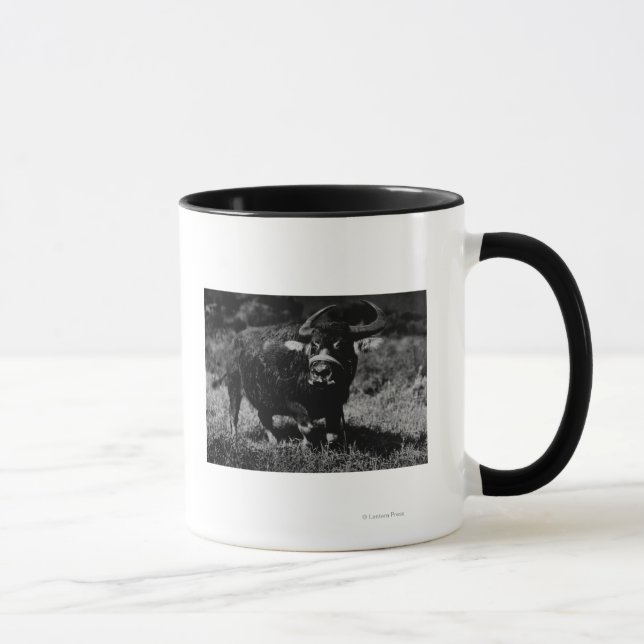 Taza Fotografía de búfalo de agua HawaiiA (Derecha)