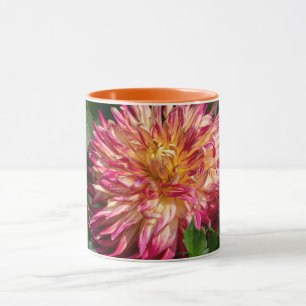 Taza Fotografía de Crisantemo Naranja, Belleza Canadien