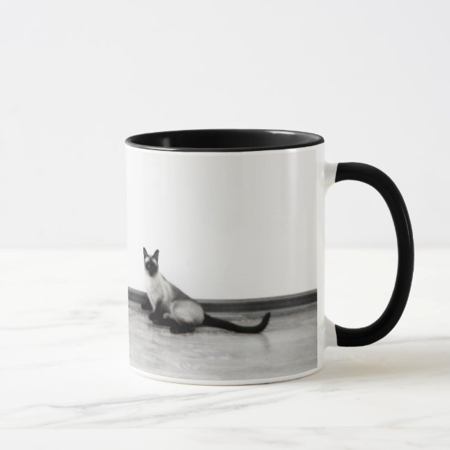 Taza Fotografía de gato siamés CUTE (Derecha)