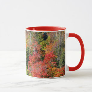 Taza Fotografía de la naturaleza otoñal colorida de la
