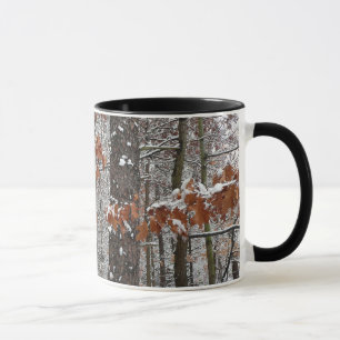Taza Fotografía de naturaleza invernal de robles cubier