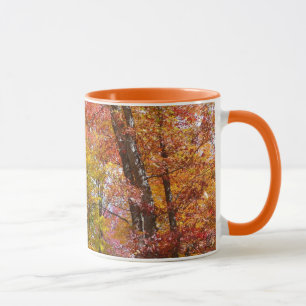 Taza Fotografía de otoño de árboles caídos naranjas y a
