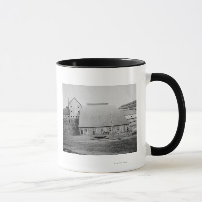 Taza Fotografía de Reducción de Madera Muerta (Derecha)