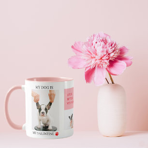 Taza Fotografía de tres grupos Perro Valentines Gift