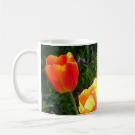 Taza Fotografía de Tulipanes Amarillos y Rojos Brillant