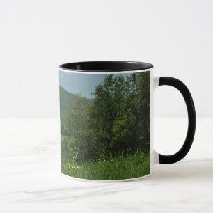 Taza Fotografía de verano de Laurel Highlands Pennsylva