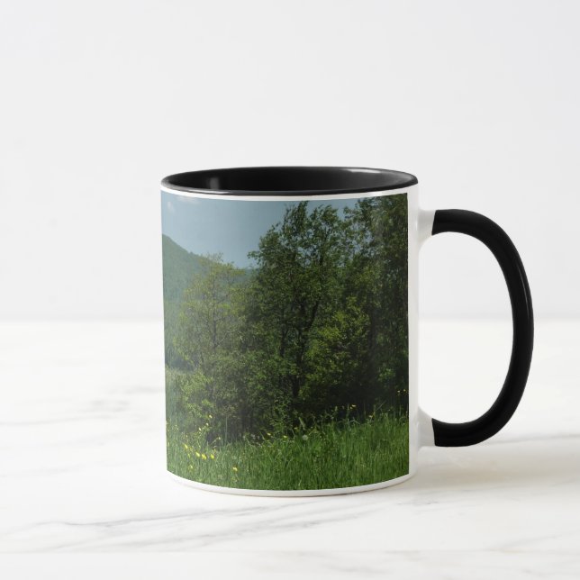 Taza Fotografía de verano de Laurel Highlands Pennsylva (Derecha)