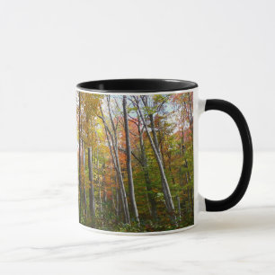 Taza Fotografía paisajística de otoño en el bosque otoñ