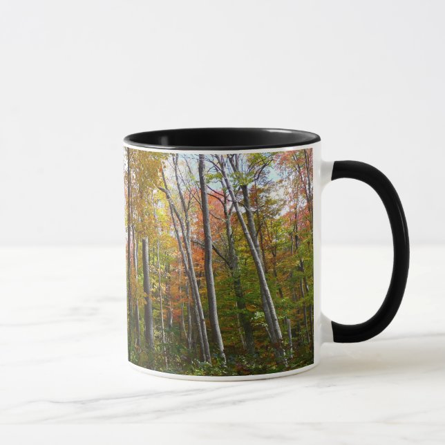 Taza Fotografía paisajística de otoño en el bosque otoñ (Derecha)