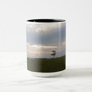 Taza Fotos de la naturaleza del sol de Florida en un pi