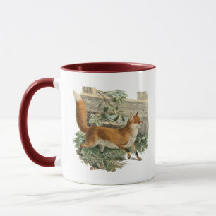 Taza Fox roja en Ilustracion rústico de cabaña